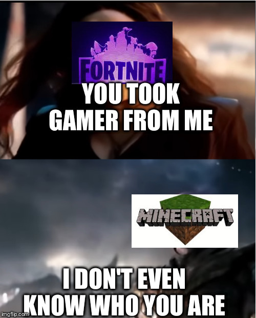 It's like a... diss? | YOU TOOK GAMER FROM ME; I DON'T EVEN KNOW WHO YOU ARE | image tagged in thanos i don't even know who you are,memes,repost,fortnite,minecraft | made w/ Imgflip meme maker