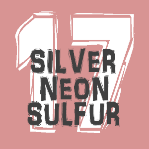 SilverNeonSulfur's 17th Birthday!!! | image tagged in gifs | made w/ Imgflip images-to-gif maker