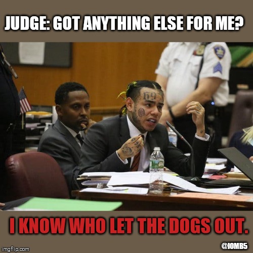 Tekashi snitching | JUDGE: GOT ANYTHING ELSE FOR ME? I KNOW WHO LET THE DOGS OUT. @IOMB5 | image tagged in tekashi snitching | made w/ Imgflip meme maker