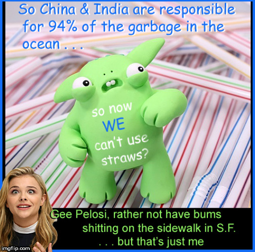 Ban straws ? - -OK !...Crap in the street ? Sure...we're Libtards | image tagged in plastic straws,global warming,liberal logic,chloe grace moretz,lol so funny,political meme | made w/ Imgflip meme maker