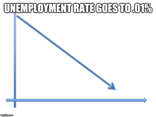 Downward Line Graph | UNEMPLOYMENT RATE GOES TO .01% | image tagged in downward line graph | made w/ Imgflip meme maker