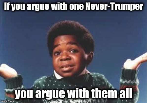 who cares | If you argue with one Never-Trumper you argue with them all | image tagged in who cares | made w/ Imgflip meme maker