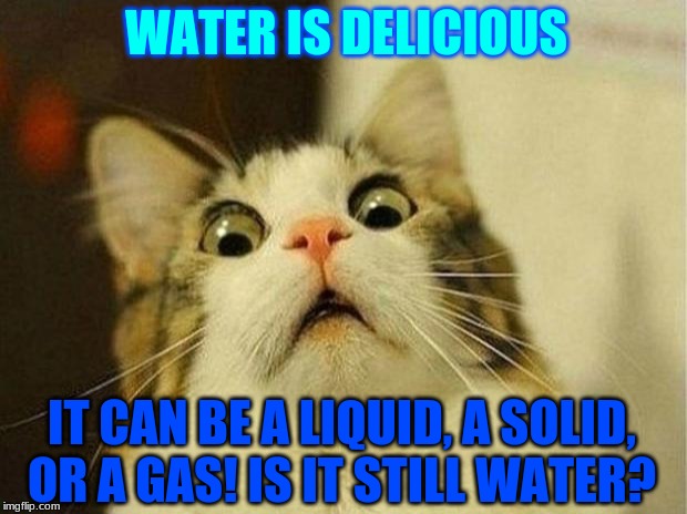 Scared Cat Meme | WATER IS DELICIOUS; IT CAN BE A LIQUID, A SOLID, OR A GAS! IS IT STILL WATER? | image tagged in memes,scared cat | made w/ Imgflip meme maker