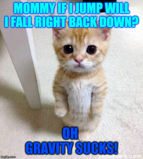 Cute Cat Meme | MOMMY IF I JUMP WILL I FALL RIGHT BACK DOWN? OH 
GRAVITY SUCKS! | image tagged in memes,cute cat | made w/ Imgflip meme maker
