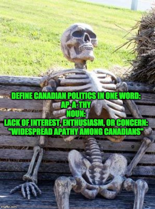 Waiting Skeleton Meme | DEFINE CANADIAN POLITICS IN ONE WORD:

AP·A·THY


NOUN:
LACK OF INTEREST, ENTHUSIASM, OR CONCERN:
"WIDESPREAD APATHY AMONG CANADIANS" | image tagged in memes,waiting skeleton | made w/ Imgflip meme maker