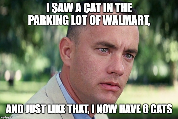 And Just Like That Meme | I SAW A CAT IN THE PARKING LOT OF WALMART, AND JUST LIKE THAT, I NOW HAVE 6 CATS | image tagged in memes,and just like that | made w/ Imgflip meme maker
