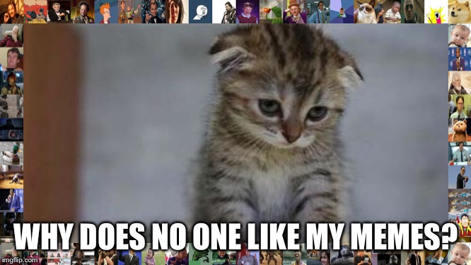 Sad kitten | WHY DOES NO ONE LIKE MY MEMES? | image tagged in sad kitten | made w/ Imgflip meme maker