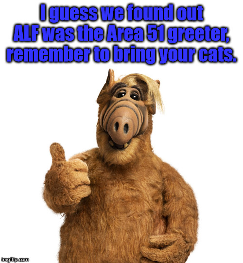 Welcome to Area 51, how can I help you? | I guess we found out ALF was the Area 51 greeter, remember to bring your cats. | image tagged in alf,area 51,welcome | made w/ Imgflip meme maker