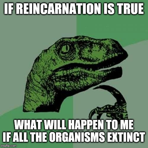 Philosoraptor Meme | IF REINCARNATION IS TRUE; WHAT WILL HAPPEN TO ME IF ALL THE ORGANISMS EXTINCT | image tagged in memes,philosoraptor | made w/ Imgflip meme maker