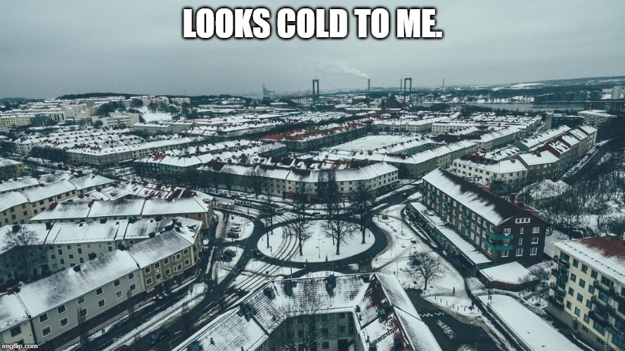 LOOKS COLD TO ME. | made w/ Imgflip meme maker