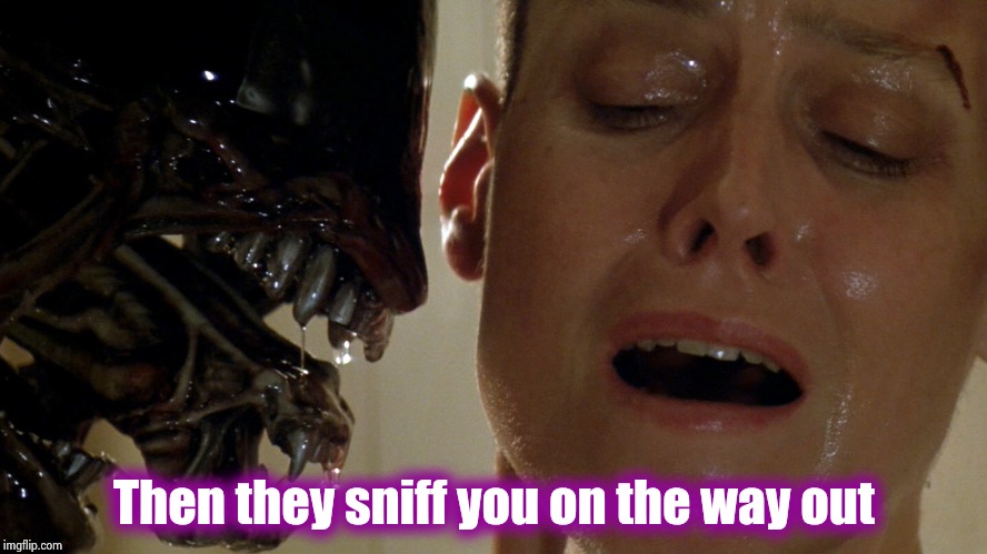 ripley-aliens | Then they sniff you on the way out | image tagged in ripley-aliens | made w/ Imgflip meme maker