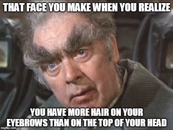 THAT OLD GUY FROM DUNE SAW REFLECTION IN MIRROR FOR FIRST TIME AND SHIT HIS PANTS | THAT FACE YOU MAKE WHEN YOU REALIZE; YOU HAVE MORE HAIR ON YOUR EYEBROWS THAN ON THE TOP OF YOUR HEAD | image tagged in dune browz,dune,eyebrows,baldness,pants,shit | made w/ Imgflip meme maker