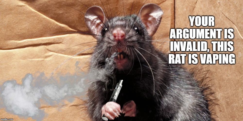 PPHHHWWWSSSSHHH | YOUR ARGUMENT IS INVALID, THIS RAT IS VAPING | image tagged in rat,vaping,wookie riding a squirrel killing nazis your argument is invalid,its 2019,damn you cern | made w/ Imgflip meme maker