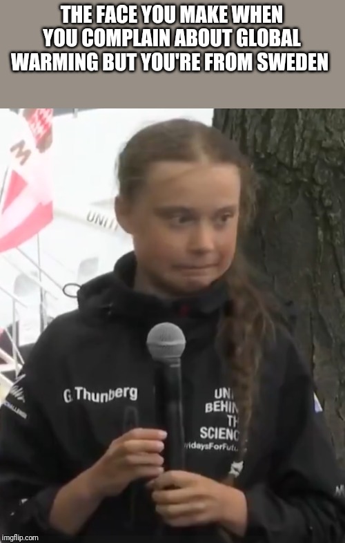 Greta | THE FACE YOU MAKE WHEN YOU COMPLAIN ABOUT GLOBAL WARMING BUT YOU'RE FROM SWEDEN | image tagged in greta | made w/ Imgflip meme maker