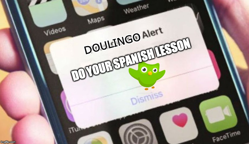 Presidential Alert Meme | DOULINGO; DO YOUR SPANISH LESSON | image tagged in memes,presidential alert | made w/ Imgflip meme maker