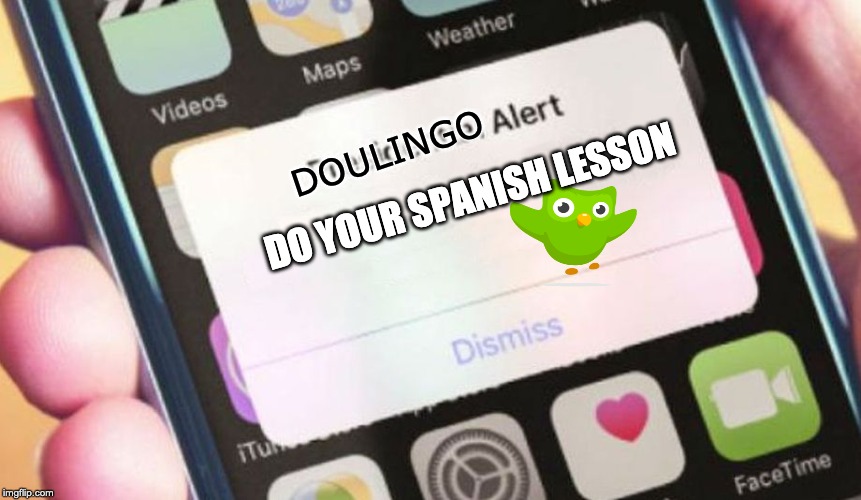 Presidential Alert | DOULINGO; DO YOUR SPANISH LESSON | image tagged in memes,presidential alert | made w/ Imgflip meme maker
