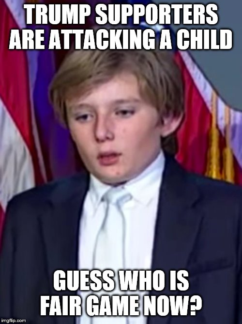Barron Trump | TRUMP SUPPORTERS ARE ATTACKING A CHILD; GUESS WHO IS FAIR GAME NOW? | image tagged in barron trump | made w/ Imgflip meme maker