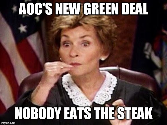 Judge Judy | AOC'S NEW GREEN DEAL; NOBODY EATS THE STEAK | image tagged in judge judy | made w/ Imgflip meme maker