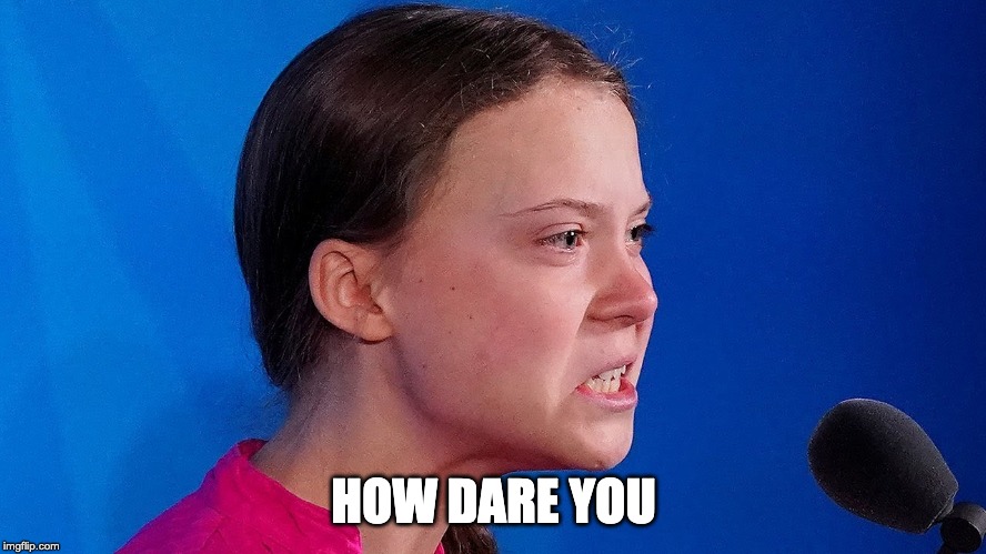 HOW DARE YOU | HOW DARE YOU | image tagged in how dare you,greta thunberg,success kid,first day on the internet kid | made w/ Imgflip meme maker