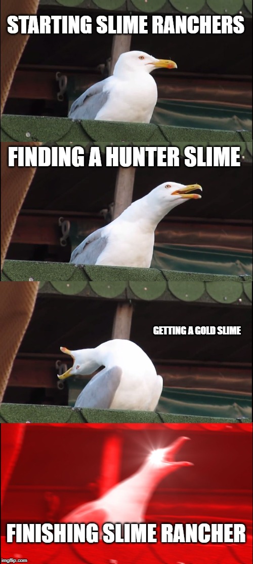 Inhaling Seagull | STARTING SLIME RANCHERS; FINDING A HUNTER SLIME; GETTING A GOLD SLIME; FINISHING SLIME RANCHER | image tagged in memes,inhaling seagull | made w/ Imgflip meme maker