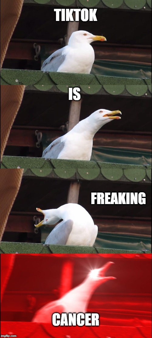 Inhaling Seagull | TIKTOK; IS; FREAKING; CANCER | image tagged in memes,inhaling seagull | made w/ Imgflip meme maker