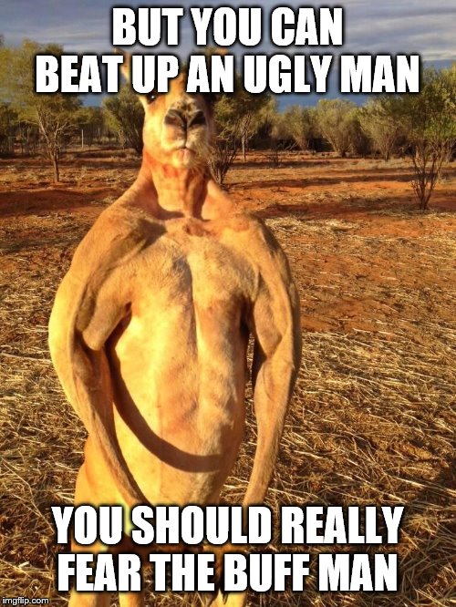 Buff Kangaroo | BUT YOU CAN BEAT UP AN UGLY MAN YOU SHOULD REALLY FEAR THE BUFF MAN | image tagged in buff kangaroo | made w/ Imgflip meme maker