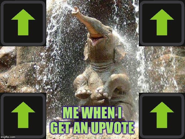 Upvote Elephant | ME WHEN I GET AN UPVOTE | image tagged in upvote elephant | made w/ Imgflip meme maker