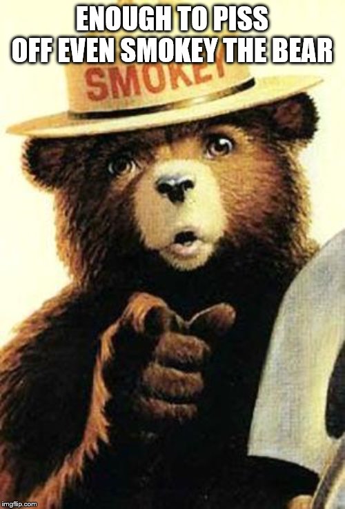 smokey the bear | ENOUGH TO PISS OFF EVEN SMOKEY THE BEAR | image tagged in smokey the bear | made w/ Imgflip meme maker