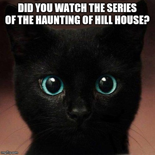 DID YOU WATCH THE SERIES OF THE HAUNTING OF HILL HOUSE? | made w/ Imgflip meme maker