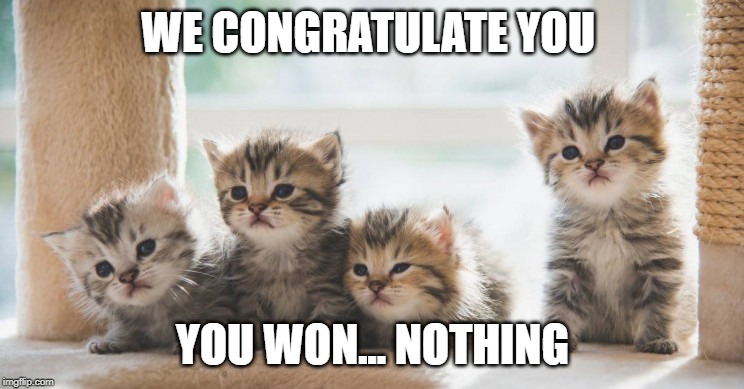 Cats for the win | WE CONGRATULATE YOU; YOU WON... NOTHING | image tagged in kitty cat | made w/ Imgflip meme maker