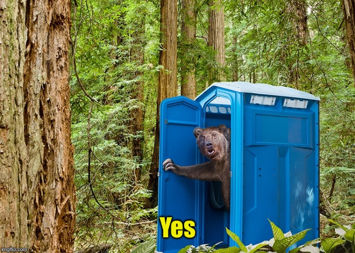 Outhouse Bear | Yes | image tagged in outhouse bear | made w/ Imgflip meme maker