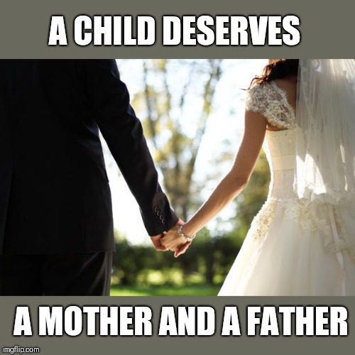 Thoughts on same sex couples adopting? | A CHILD DESERVES; A MOTHER AND A FATHER | image tagged in wedding,family,mother,father,adoption | made w/ Imgflip meme maker