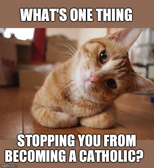 On the flip side: if you're a former Catholic,  what's one thing that impelled you to leave? I would like to know. | WHAT'S ONE THING; STOPPING YOU FROM BECOMING A CATHOLIC? | image tagged in curious question cat | made w/ Imgflip meme maker