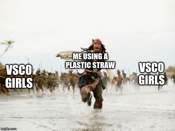 Jack Sparrow Being Chased Meme | ME USING A PLASTIC STRAW; VSCO GIRLS; VSCO GIRLS | image tagged in memes,jack sparrow being chased | made w/ Imgflip meme maker