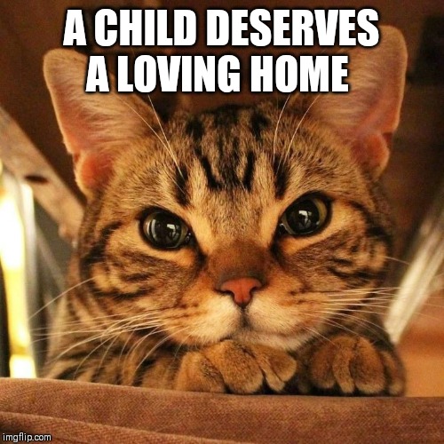 A CHILD DESERVES A LOVING HOME | made w/ Imgflip meme maker