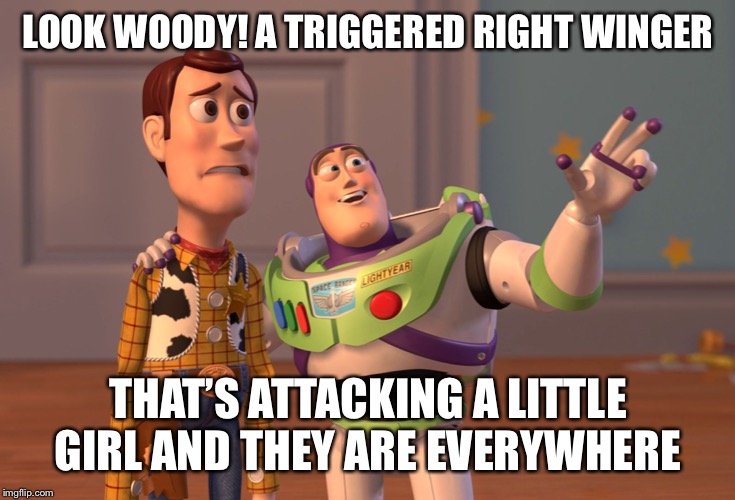 X, X Everywhere Meme | LOOK WOODY! A TRIGGERED RIGHT WINGER THAT’S ATTACKING A LITTLE GIRL AND THEY ARE EVERYWHERE | image tagged in memes,x x everywhere | made w/ Imgflip meme maker