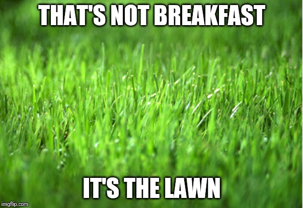 grass is greener | THAT'S NOT BREAKFAST IT'S THE LAWN | image tagged in grass is greener | made w/ Imgflip meme maker