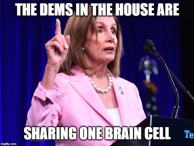 The Word For The Day Is, "One". | THE DEMS IN THE HOUSE ARE; SHARING ONE BRAIN CELL | image tagged in house democrats,trump derangement syndrome,impeach trump | made w/ Imgflip meme maker