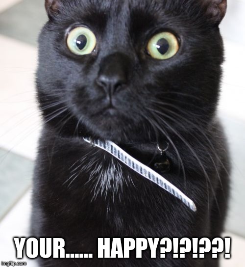 Woah Kitty Meme | YOUR...... HAPPY?!?!??! | image tagged in memes,woah kitty | made w/ Imgflip meme maker