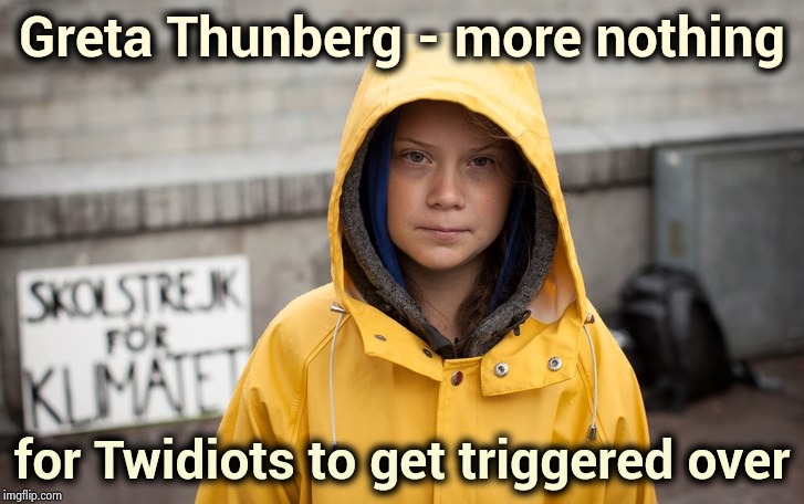 Find something better to do | Greta Thunberg - more nothing; for Twidiots to get triggered over | image tagged in greta thunberg,no one cares,where are her parents,sweden,calling in sick | made w/ Imgflip meme maker