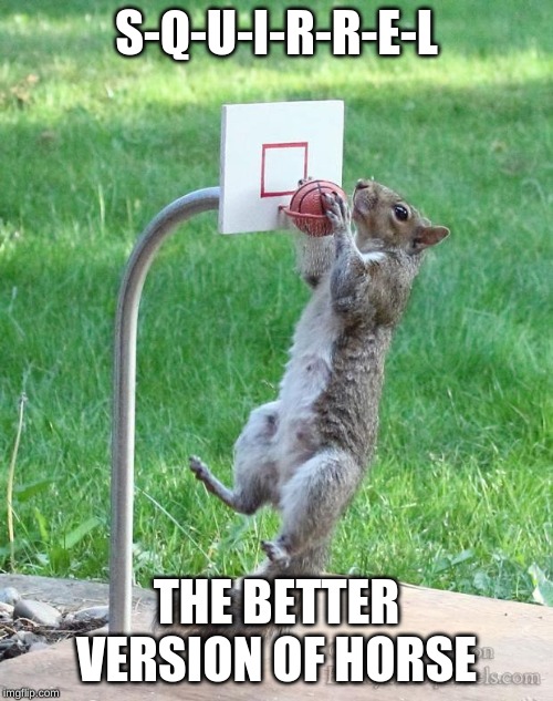 Squirrel basketball | S-Q-U-I-R-R-E-L; THE BETTER VERSION OF HORSE | image tagged in squirrel basketball | made w/ Imgflip meme maker