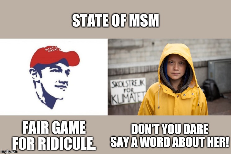 STATE OF MSM; FAIR GAME FOR RIDICULE. DON'T YOU DARE SAY A WORD ABOUT HER! | image tagged in nick sandmann maga,greta thunberg | made w/ Imgflip meme maker