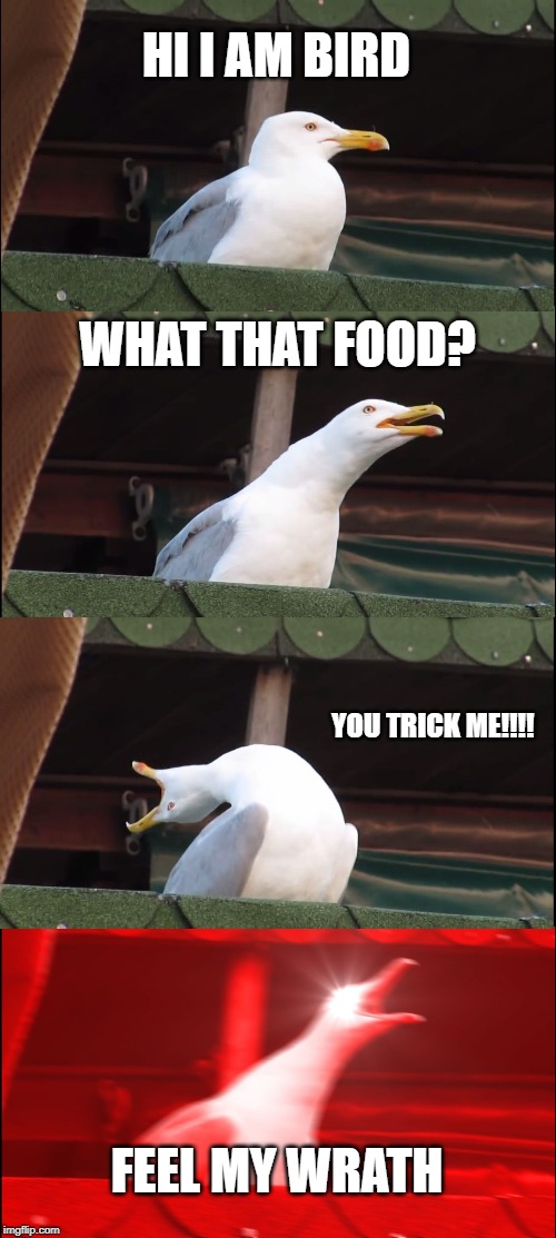 Inhaling Seagull | HI I AM BIRD; WHAT THAT FOOD? YOU TRICK ME!!!! FEEL MY WRATH | image tagged in memes,inhaling seagull | made w/ Imgflip meme maker