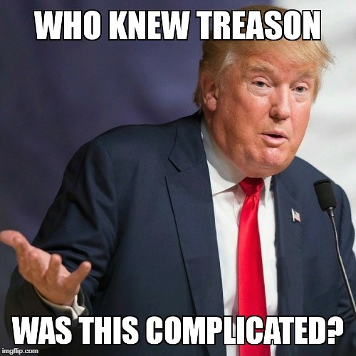 . | image tagged in treason,high treason,trump | made w/ Imgflip meme maker