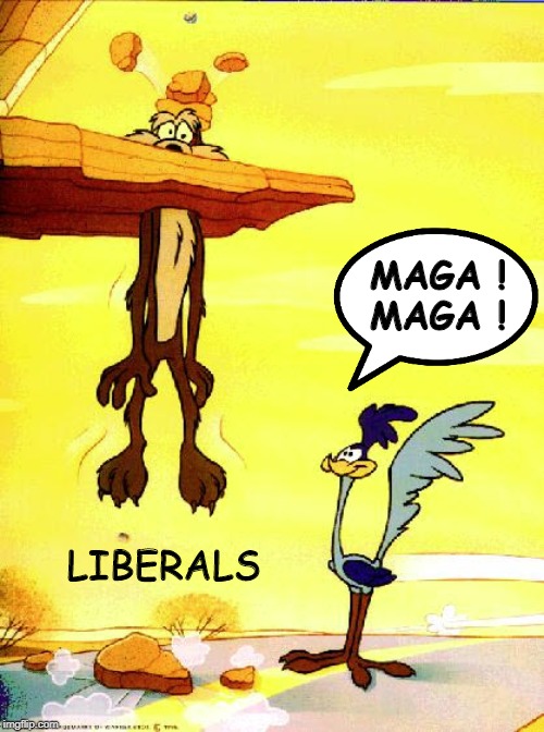 MAGA!MAGA! | MAGA !
MAGA ! LIBERALS | image tagged in roadrunner  coyote,maga,president trump,stupid liberals,funny memes,political meme | made w/ Imgflip meme maker