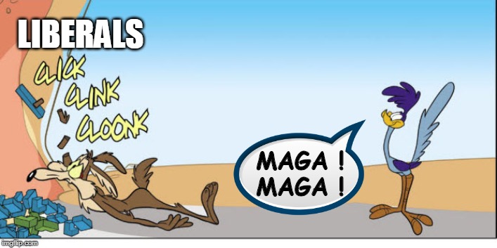 MAGA! MAGA! Liberals | LIBERALS; MAGA !
MAGA ! | image tagged in political meme,roadrunner,maga,stupid liberals,funny memes | made w/ Imgflip meme maker