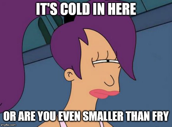 Futurama Leela Meme | IT'S COLD IN HERE OR ARE YOU EVEN SMALLER THAN FRY | image tagged in memes,futurama leela | made w/ Imgflip meme maker