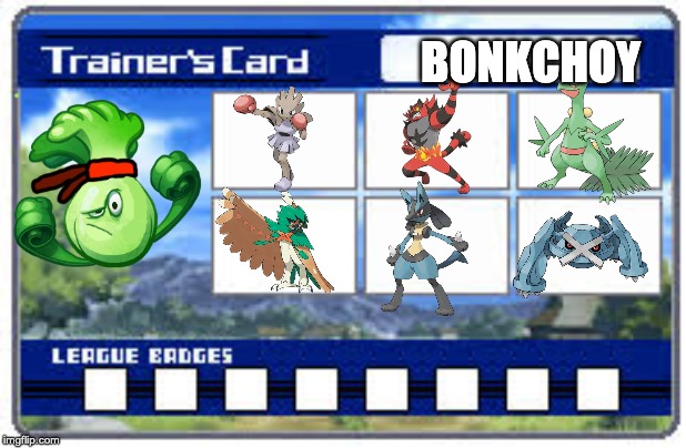 trainer card template 4 | BONKCHOY | image tagged in trainer card template 4 | made w/ Imgflip meme maker