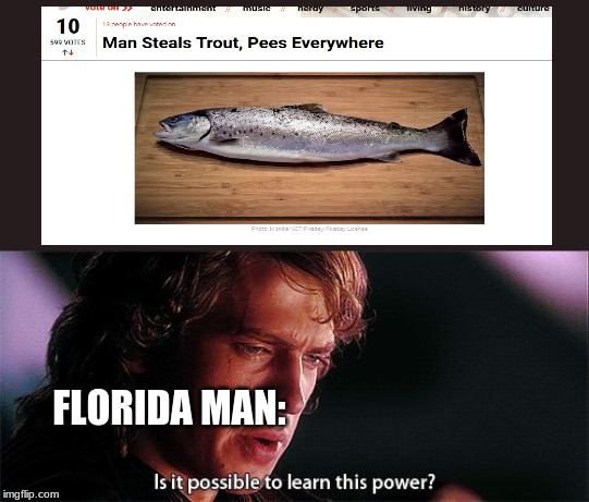 Is it possible to learn this power | FLORIDA MAN: | image tagged in is it possible to learn this power | made w/ Imgflip meme maker
