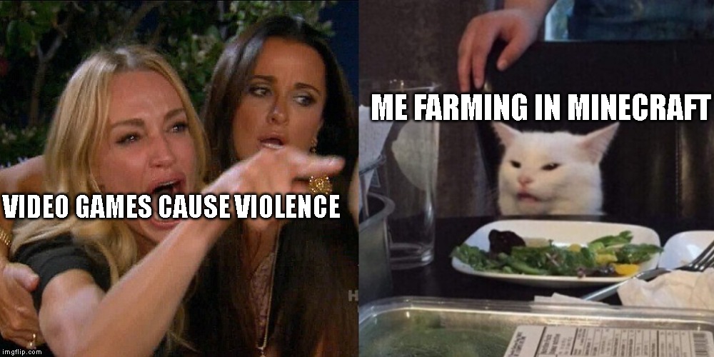 Woman yelling at cat | ME FARMING IN MINECRAFT; VIDEO GAMES CAUSE VIOLENCE | image tagged in woman yelling at cat | made w/ Imgflip meme maker